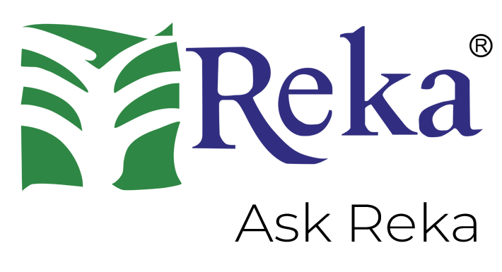 Ask Reka - an AI Platform[X3]